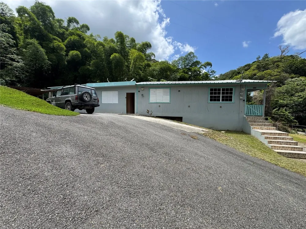 131 GUILARTE Adjuntas, PR 00601