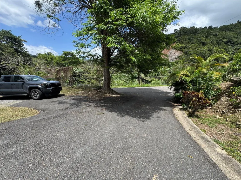 131 GUILARTE Adjuntas, PR 00601