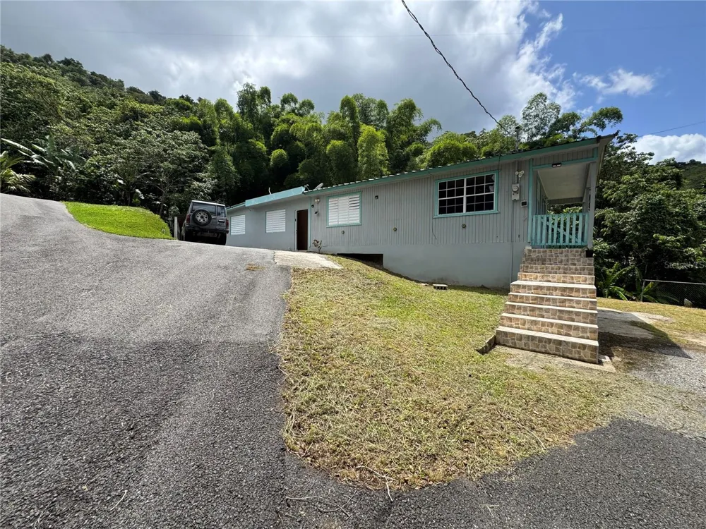 131 GUILARTE Adjuntas, PR 00601