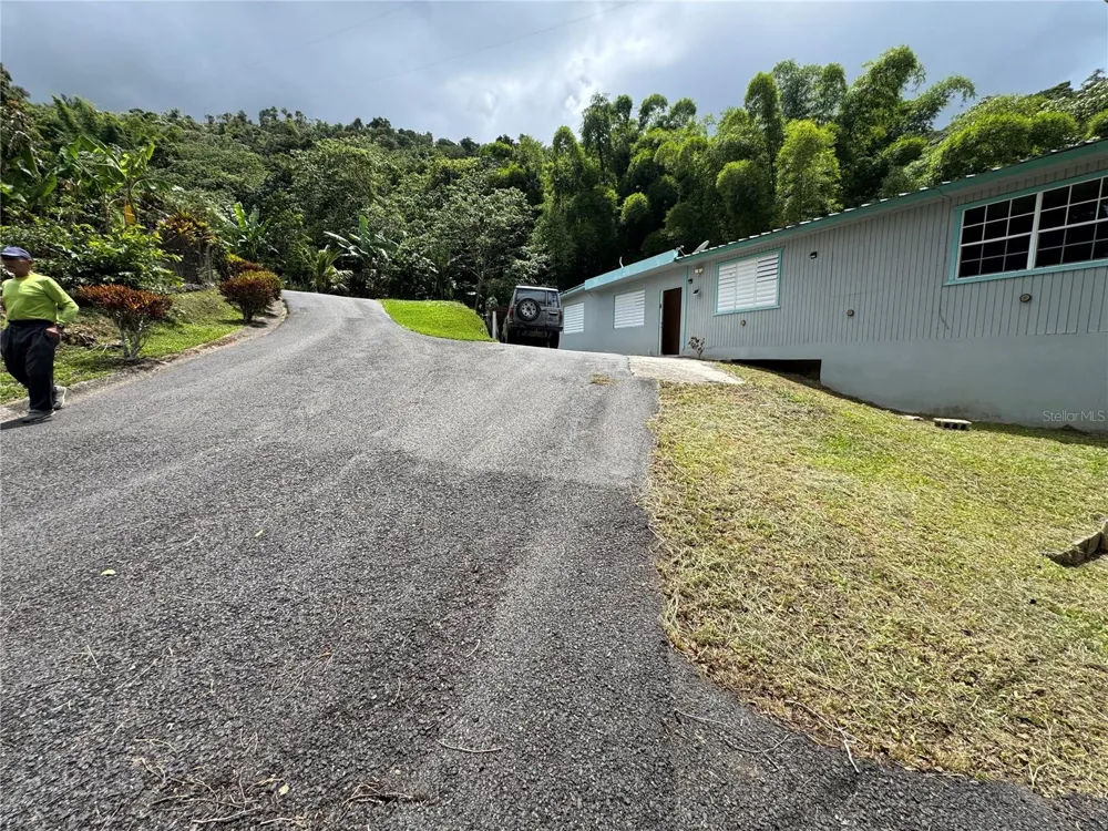 131 GUILARTE Adjuntas, PR 00601