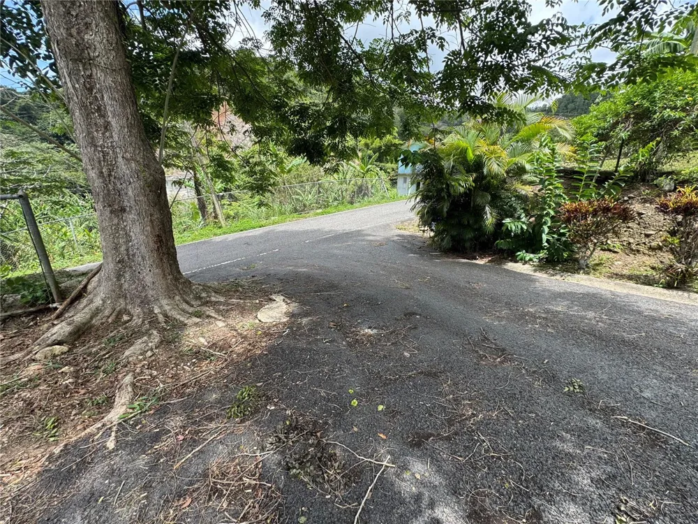 131 GUILARTE Adjuntas, PR 00601