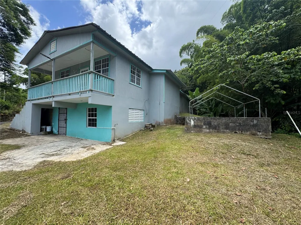 131 GUILARTE Adjuntas, PR 00601