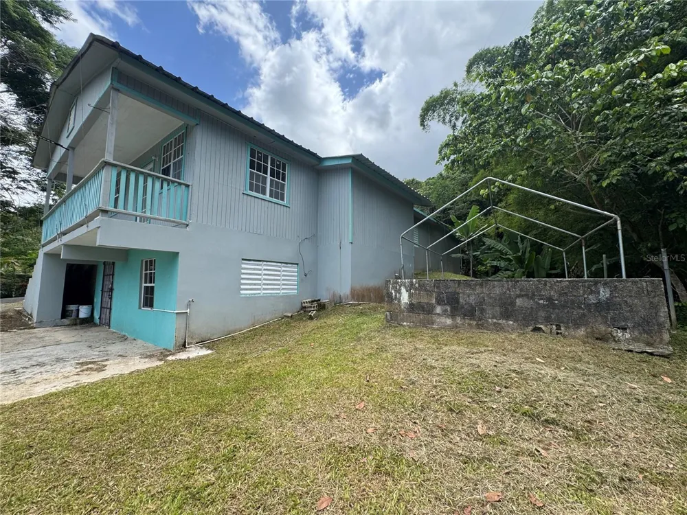 131 GUILARTE Adjuntas, PR 00601