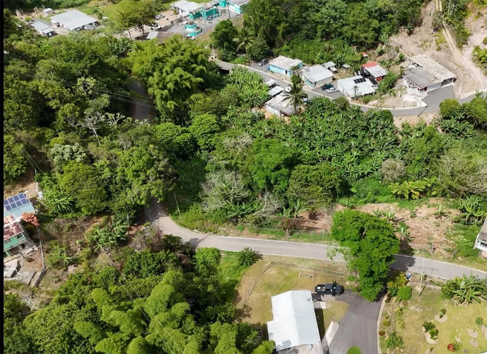 131 GUILARTE Adjuntas, PR 00601