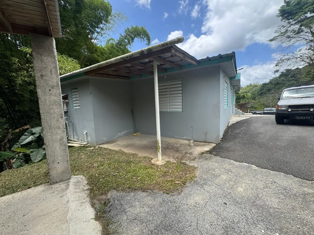 131 GUILARTE Adjuntas, PR 00601