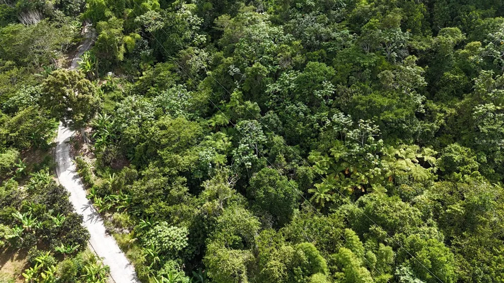 131 GUILARTE Adjuntas, PR 00601