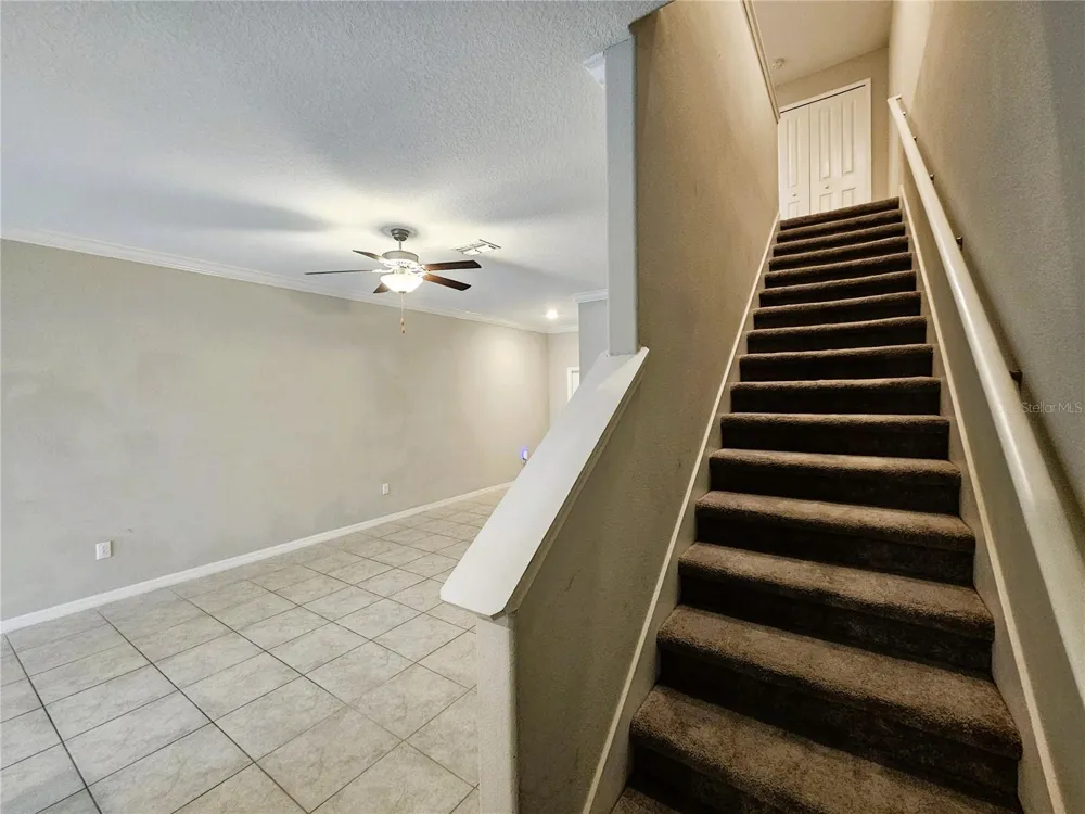 13251 DUPREE HILLS PLACE Riverview, FL 33579