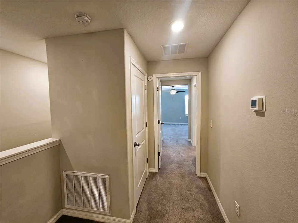 13251 DUPREE HILLS PLACE Riverview, FL 33579