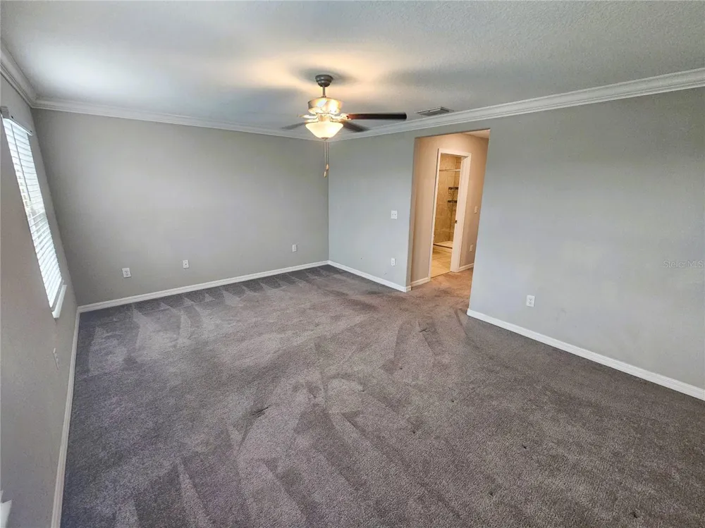 13251 DUPREE HILLS PLACE Riverview, FL 33579