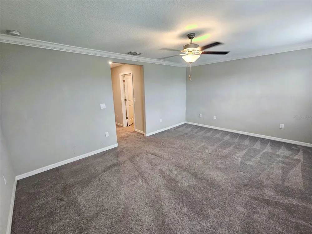 13251 DUPREE HILLS PLACE Riverview, FL 33579
