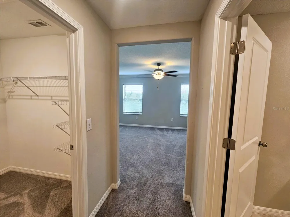 13251 DUPREE HILLS PLACE Riverview, FL 33579