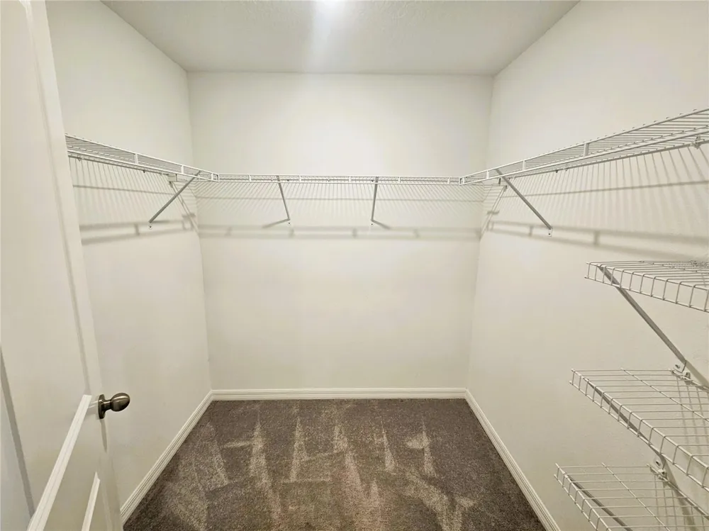 13251 DUPREE HILLS PLACE Riverview, FL 33579