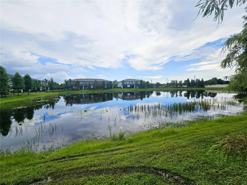 13251 DUPREE HILLS PLACE Riverview, FL 33579