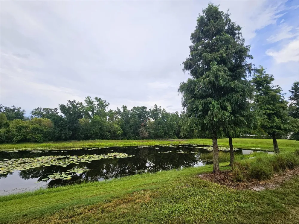 13251 DUPREE HILLS PLACE Riverview, FL 33579