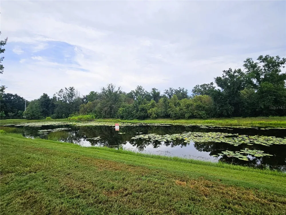 13251 DUPREE HILLS PLACE Riverview, FL 33579