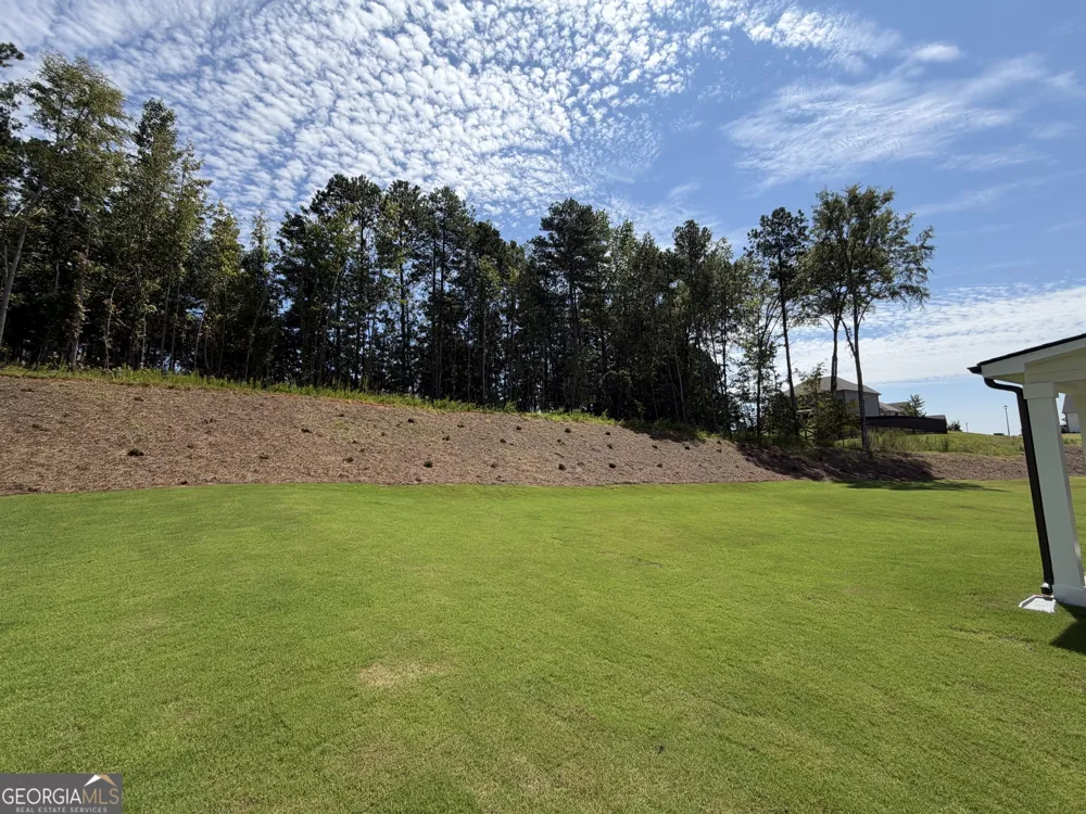 67 Bufflehead PASS Jefferson, GA 30549