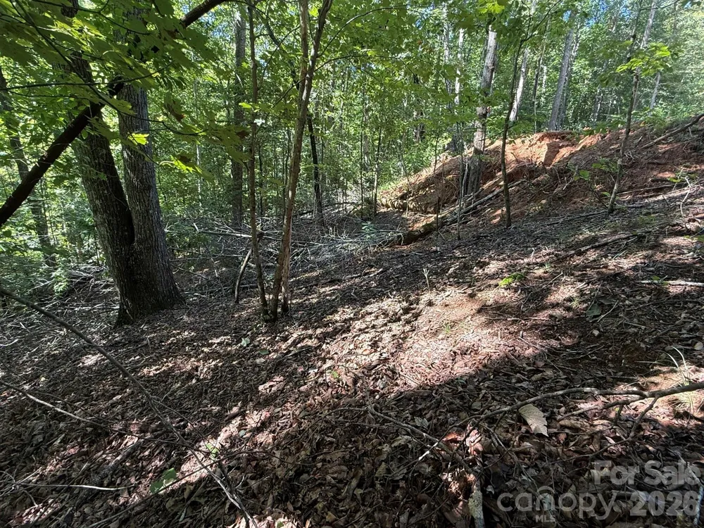 V/L Heartwood Drive #133 Marion, NC 28752