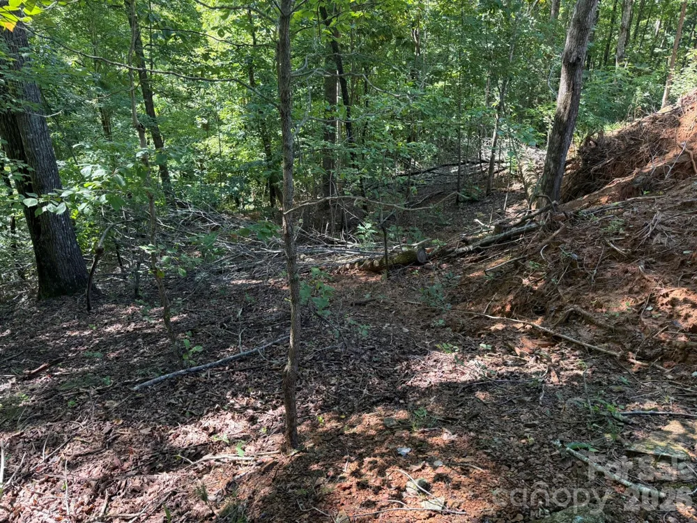 V/L Heartwood Drive #133 Marion, NC 28752