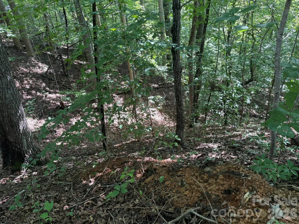 V/L Heartwood Drive #133 Marion, NC 28752