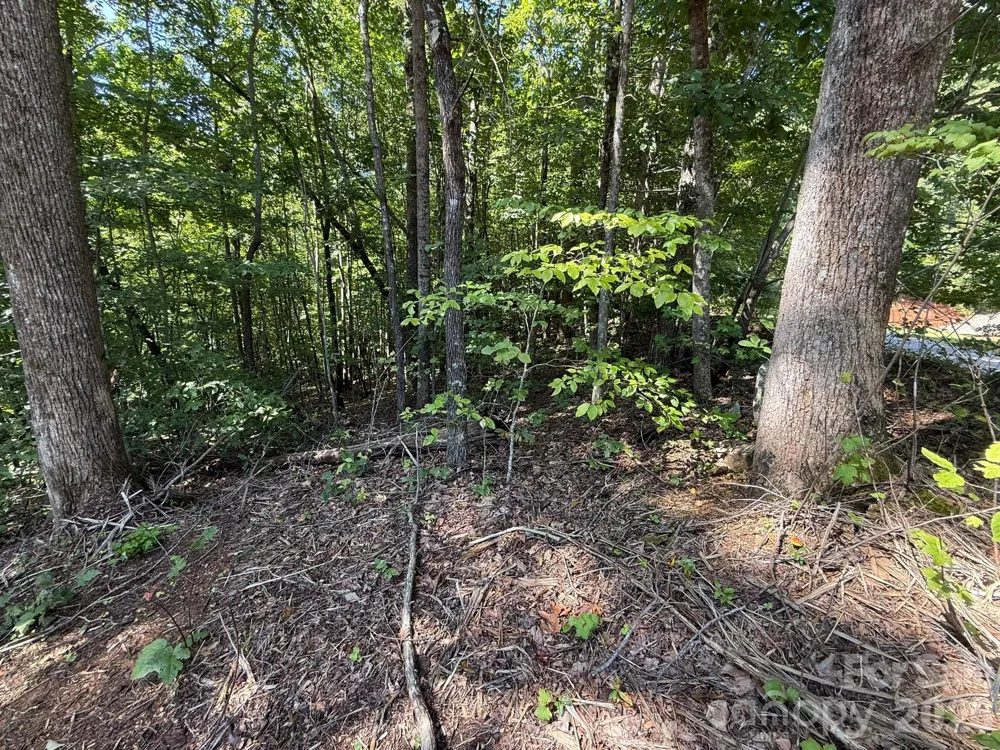 V/L Heartwood Drive #133 Marion, NC 28752