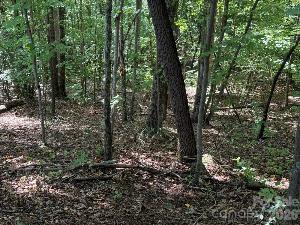 V/L Heartwood Drive #133 Marion, NC 28752