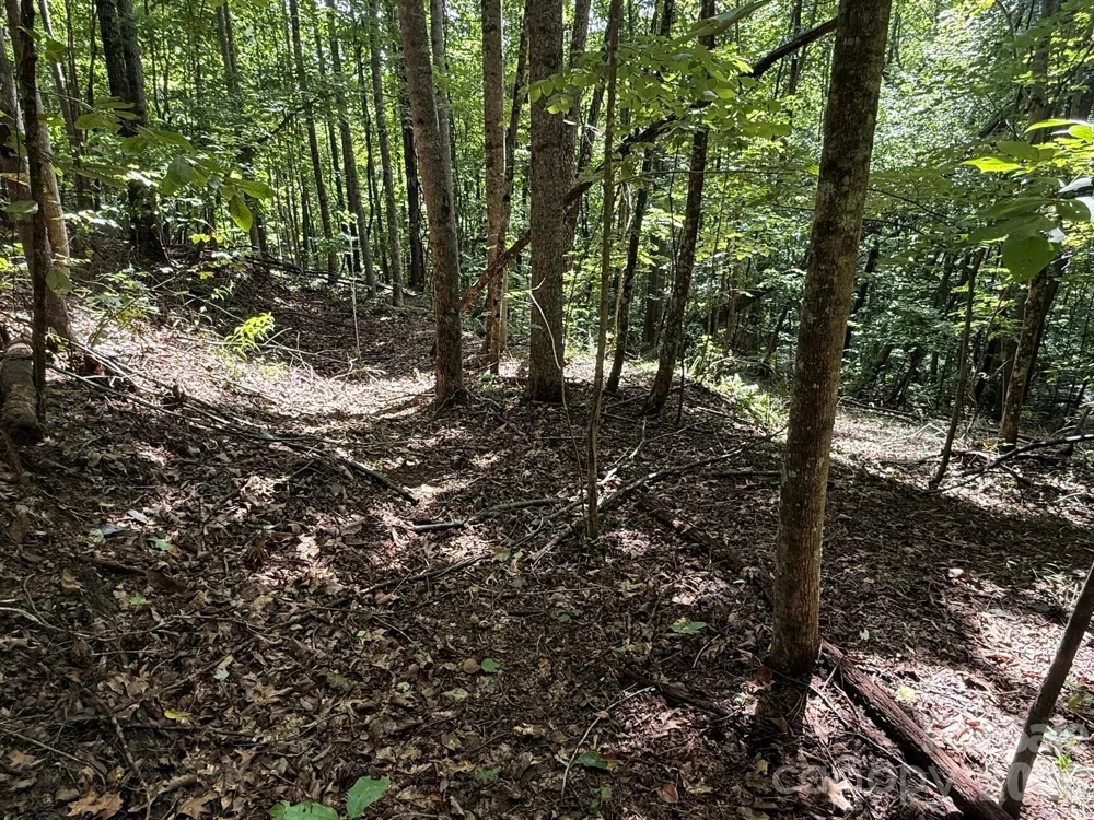 V/L Heartwood Drive #133 Marion, NC 28752