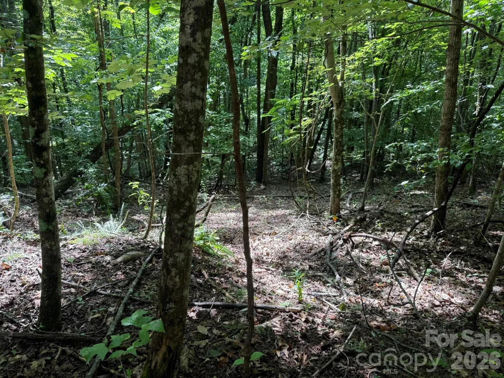 V/L Heartwood Drive #133 Marion, NC 28752