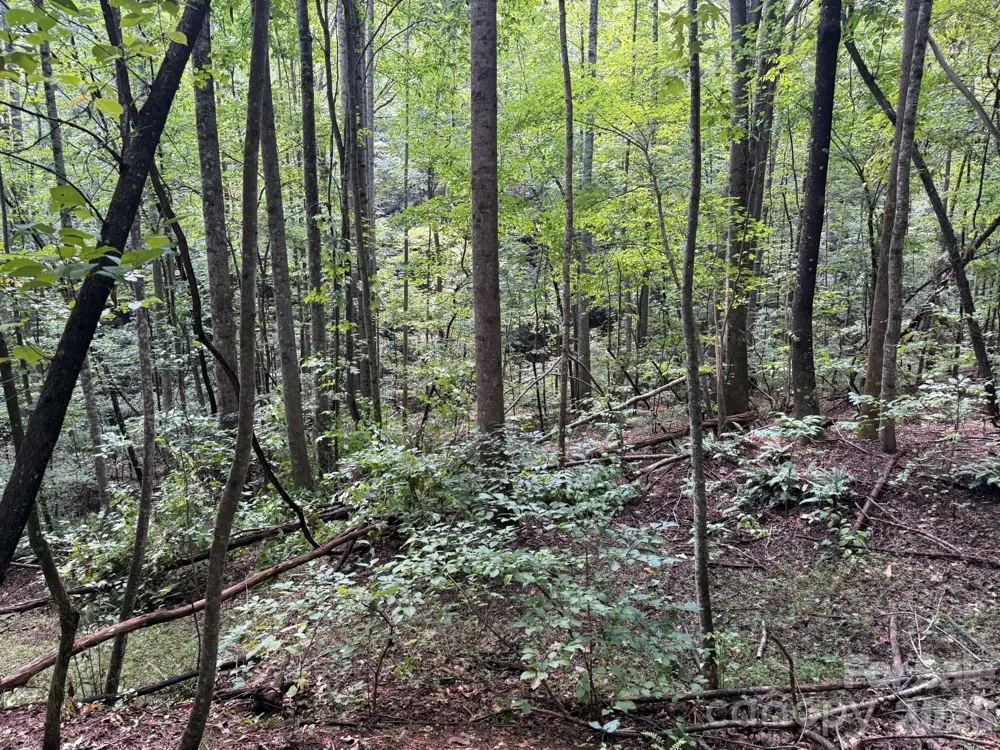V/L Heartwood Drive #133 Marion, NC 28752