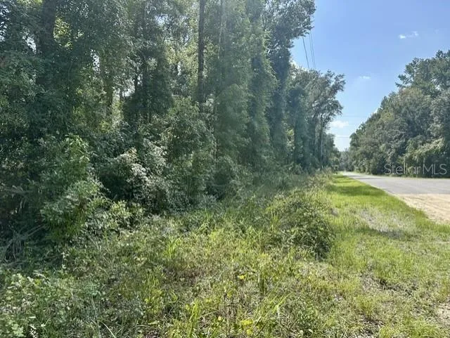 NE 597TH STREET Old Town, FL 32680