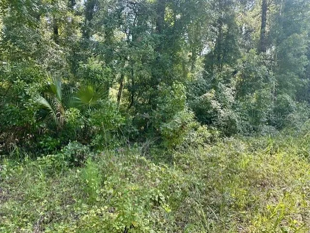 NE 597TH STREET Old Town, FL 32680