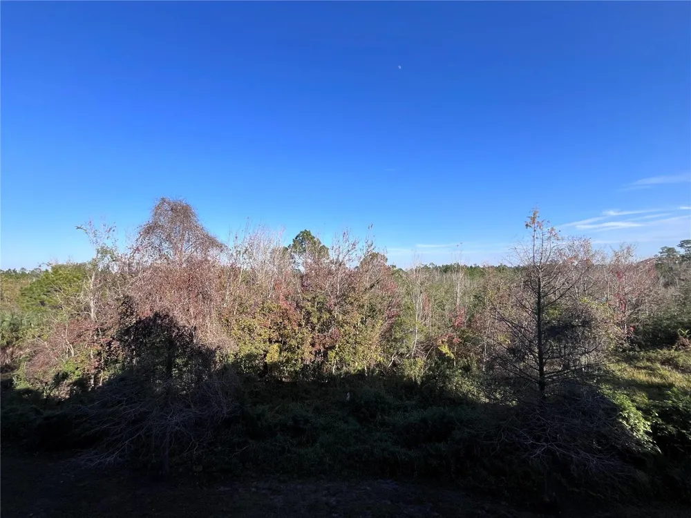 3175 FELTRIM PLACE #302 Kissimmee, FL 34747