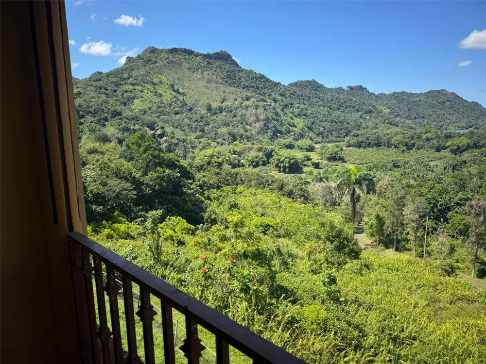 612 CARR 612 BROOKS Utuado, PR 00641