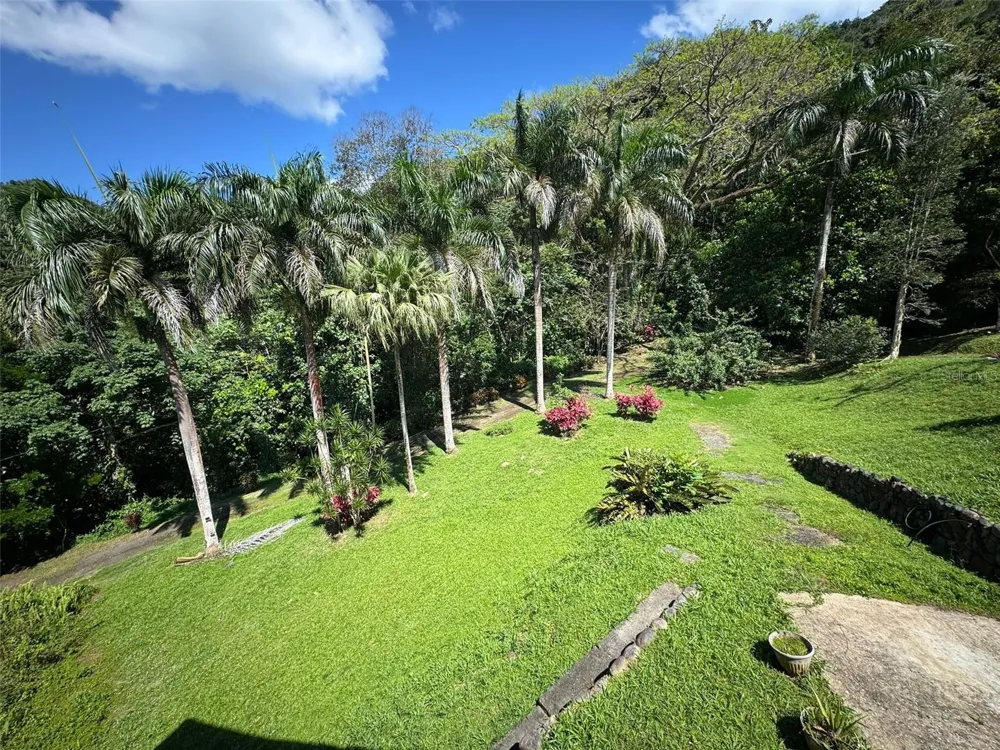 612 CARR 612 BROOKS Utuado, PR 00641