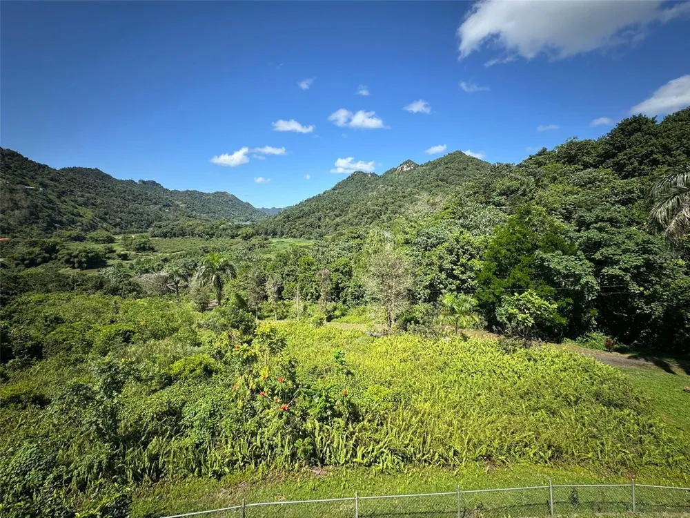 612 CARR 612 BROOKS Utuado, PR 00641