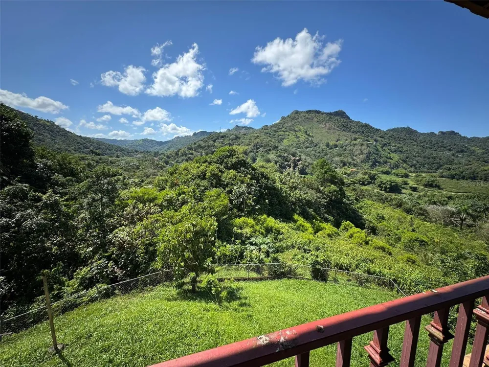 612 CARR 612 BROOKS Utuado, PR 00641