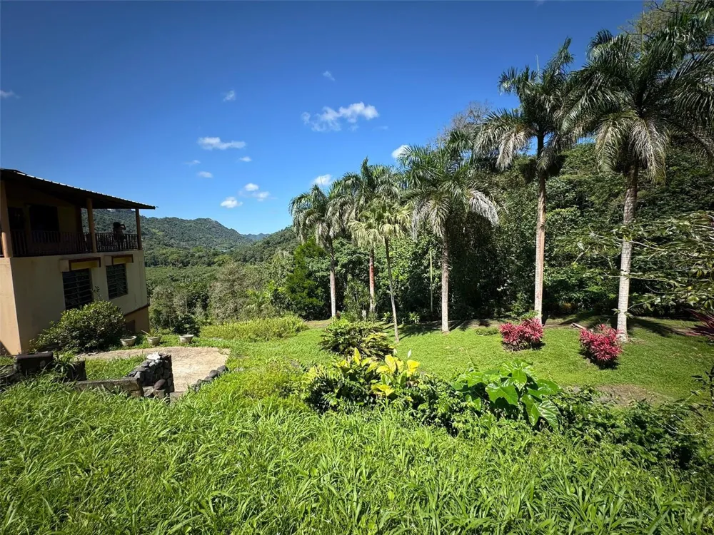 612 CARR 612 BROOKS Utuado, PR 00641
