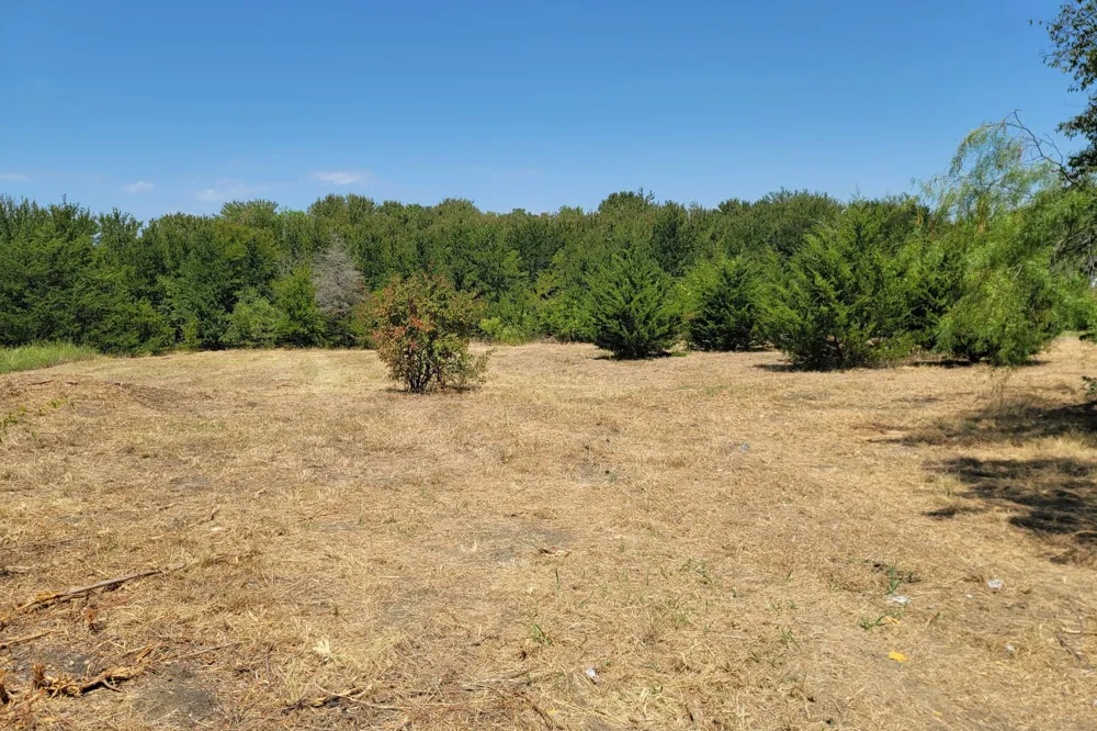 4168 Weeping Oak Royse City, TX 75189