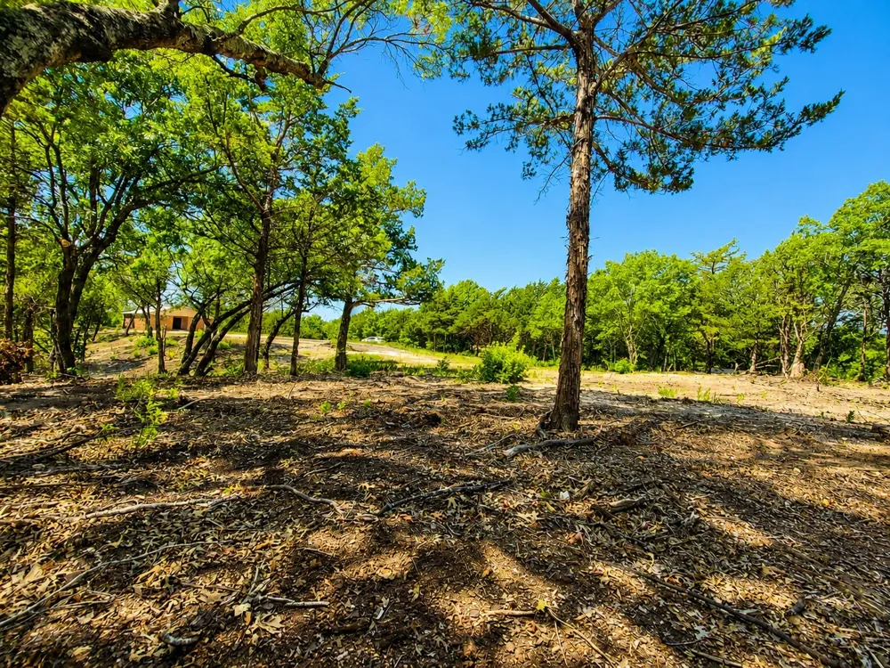 1264 RedMoore Road Whitewright, TX 75491