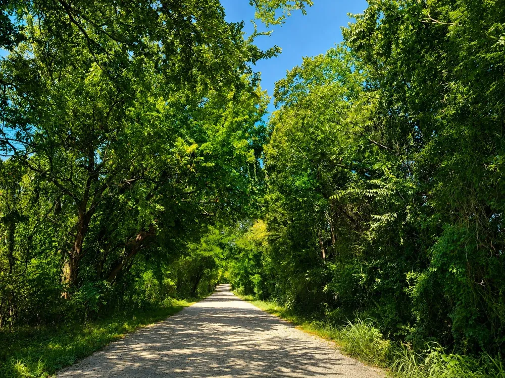 1264 RedMoore Road Whitewright, TX 75491
