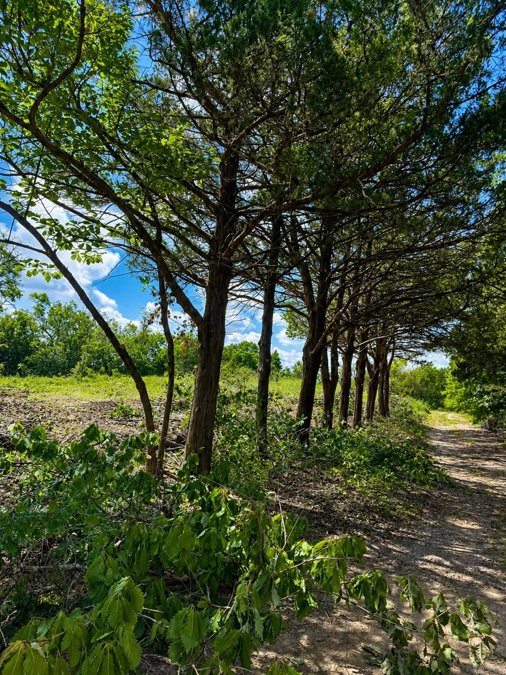 1264 RedMoore Road Whitewright, TX 75491