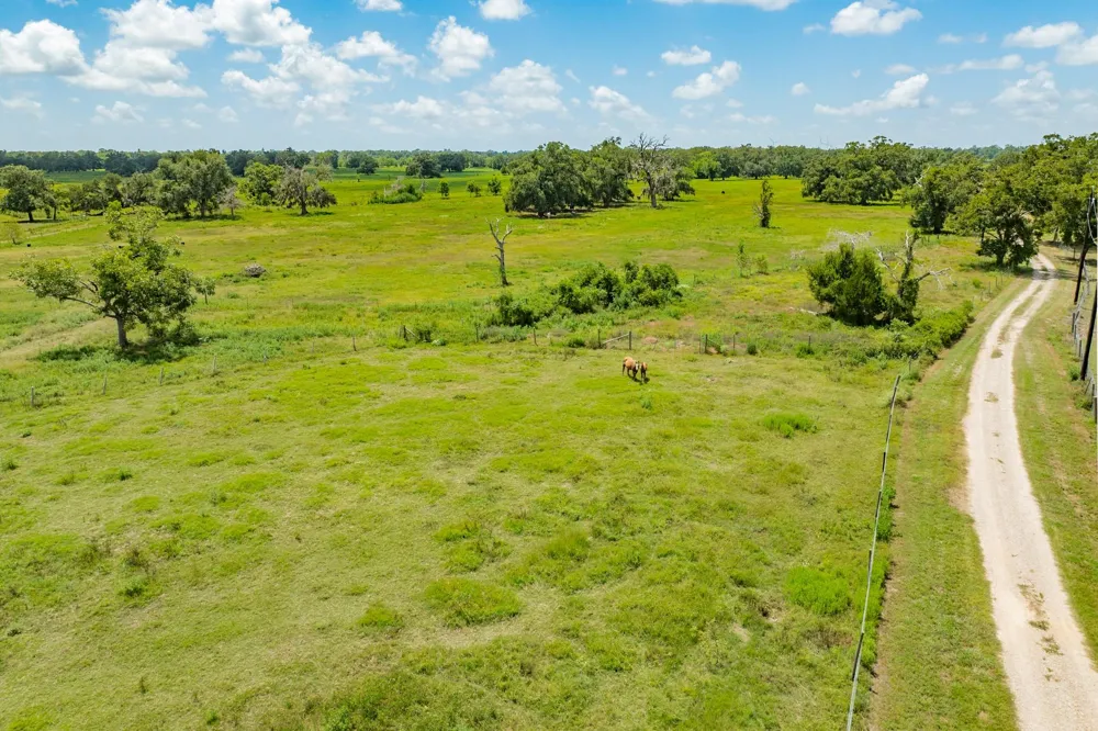 438 County Road 164 Cedar Lane, TX 77414