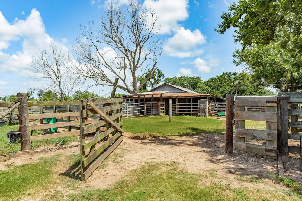 438 County Road 164 Cedar Lane, TX 77414
