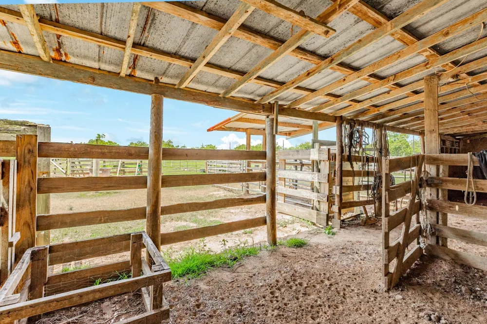 438 County Road 164 Cedar Lane, TX 77414