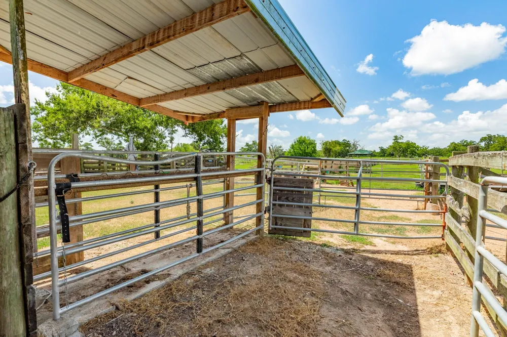 438 County Road 164 Cedar Lane, TX 77414