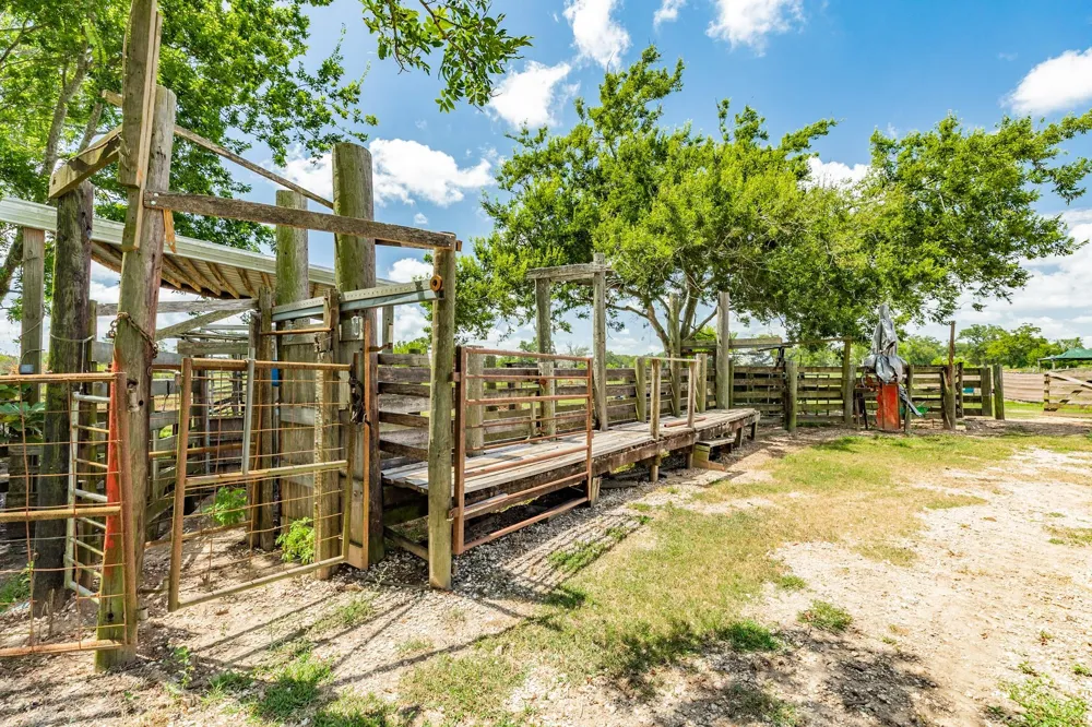 438 County Road 164 Cedar Lane, TX 77414