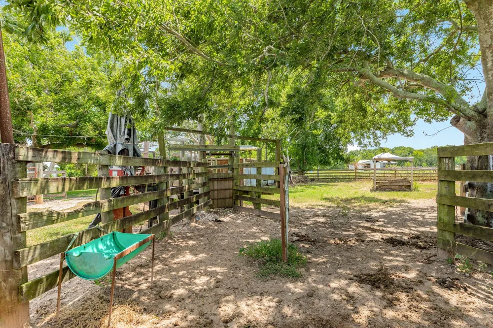 438 County Road 164 Cedar Lane, TX 77414