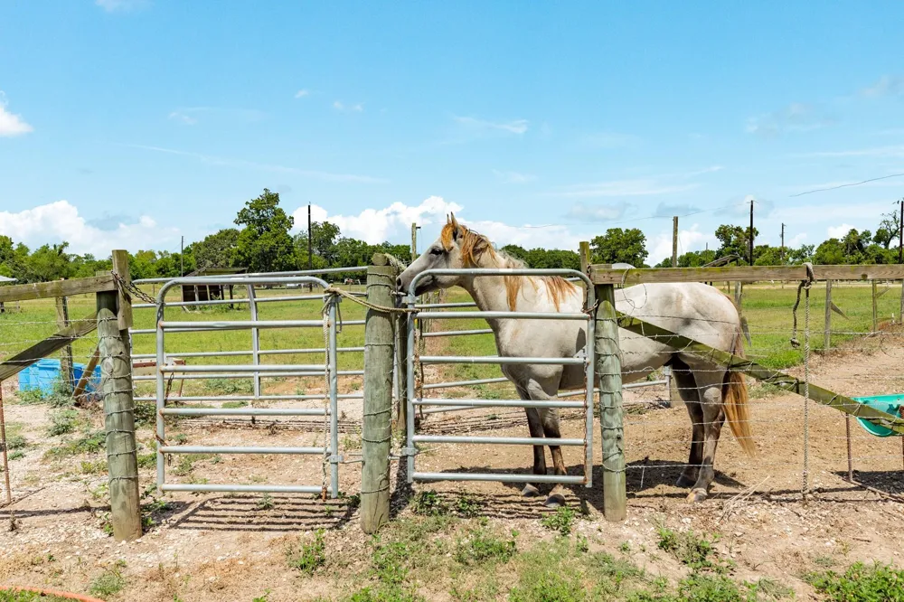 438 County Road 164 Cedar Lane, TX 77414