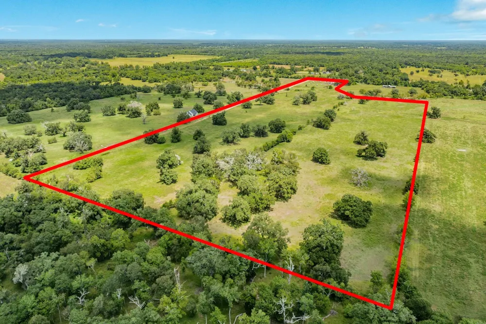 438 County Road 164 Cedar Lane, TX 77414