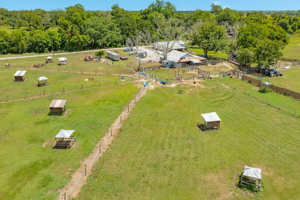 438 County Road 164 Cedar Lane, TX 77414