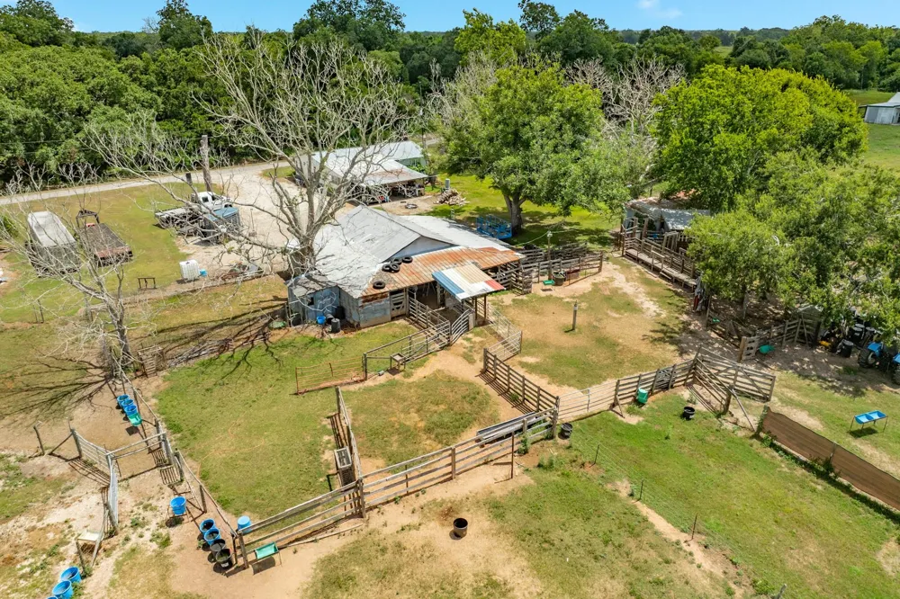 438 County Road 164 Cedar Lane, TX 77414